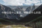 中特估是什么意思，中特是什么的简称