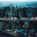 600127股票，600212股票
