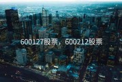 600127股票，600212股票