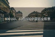 600160，6001600中国铝业股票