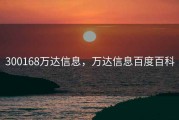 300168万达信息，万达信息百度百科