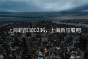 上海新阳300236，上海新阳股吧
