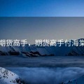 期货高手，期货高手付海棠