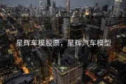 星辉车模股票，星辉汽车模型