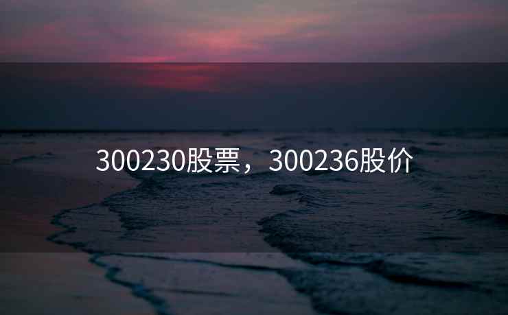 300230股票，300236股价