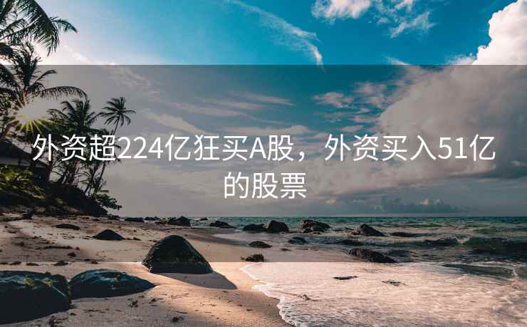 外资超224亿狂买A股，外资买入51亿的股票