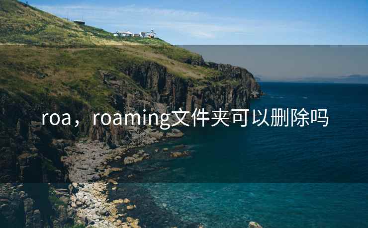 roa，roaming文件夹可以删除吗