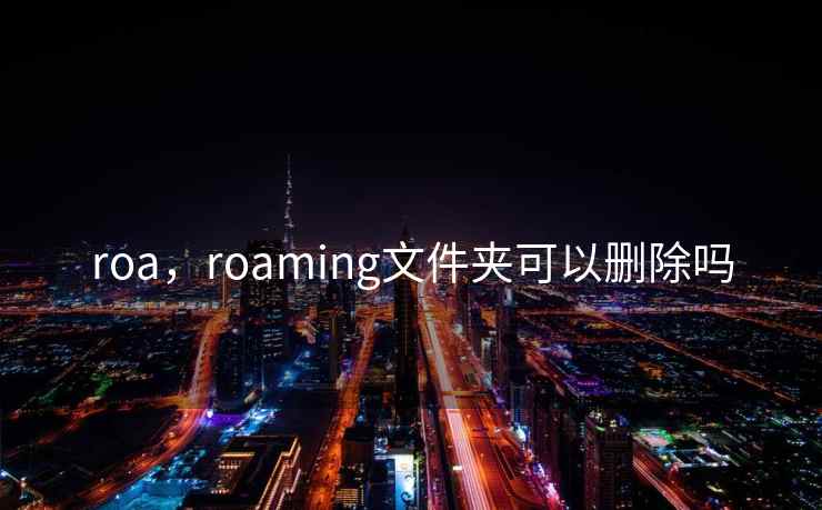 roa，roaming文件夹可以删除吗