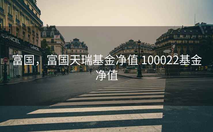 富国，富国天瑞基金净值 100022基金净值