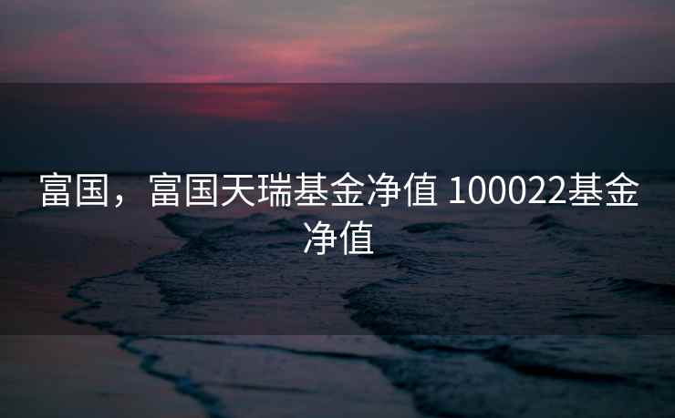 富国，富国天瑞基金净值 100022基金净值