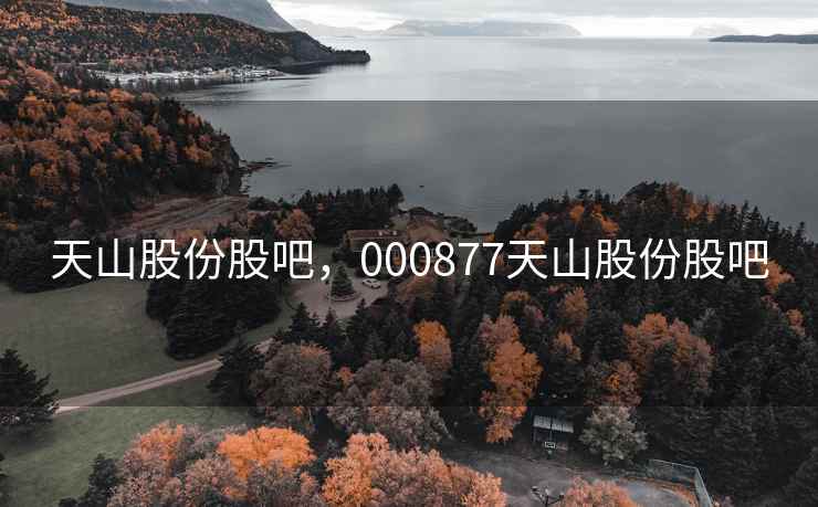 天山股份股吧，000877天山股份股吧