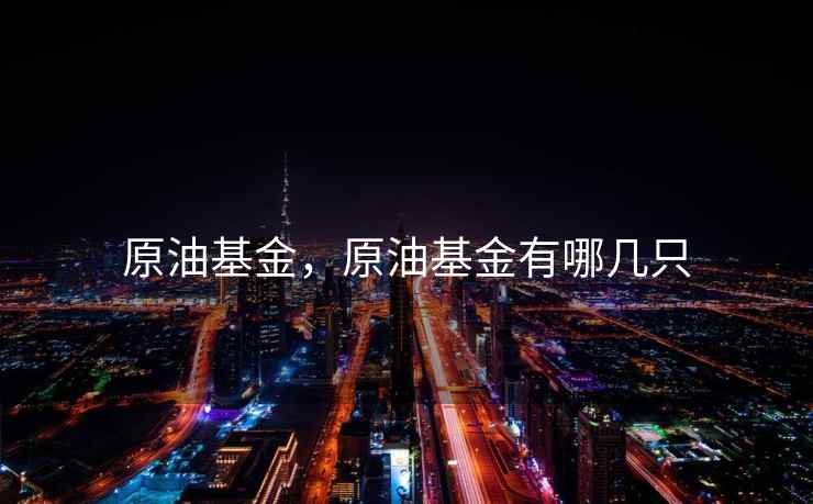 原油基金，原油基金有哪几只