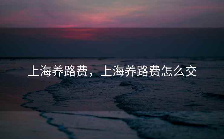 上海养路费，上海养路费怎么交