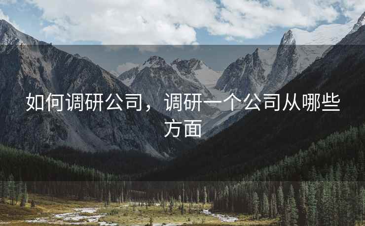如何调研公司，调研一个公司从哪些方面