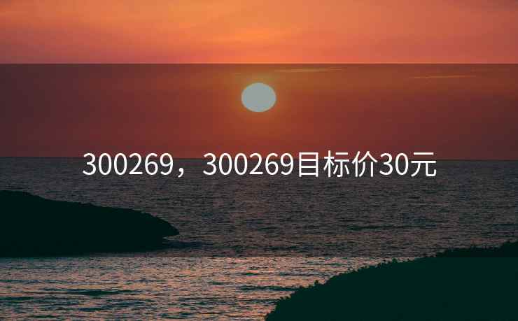 300269，300269目标价30元