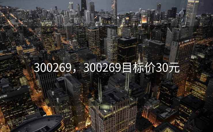 300269，300269目标价30元