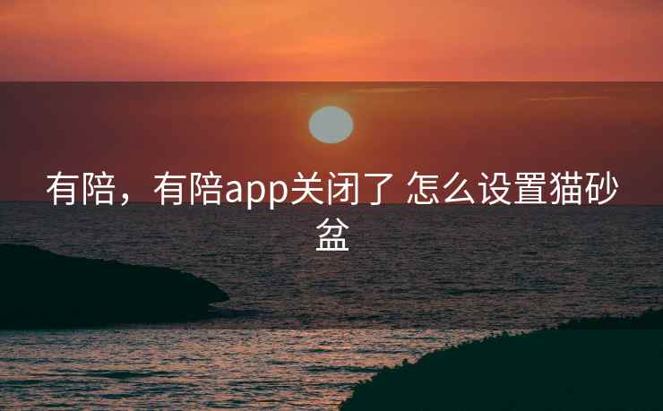 有陪，有陪app关闭了 怎么设置猫砂盆