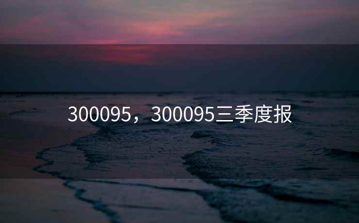 300095，300095三季度报