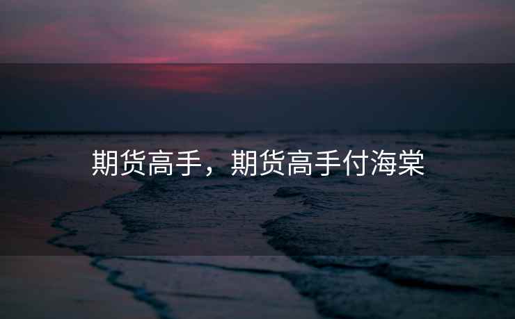 期货高手，期货高手付海棠